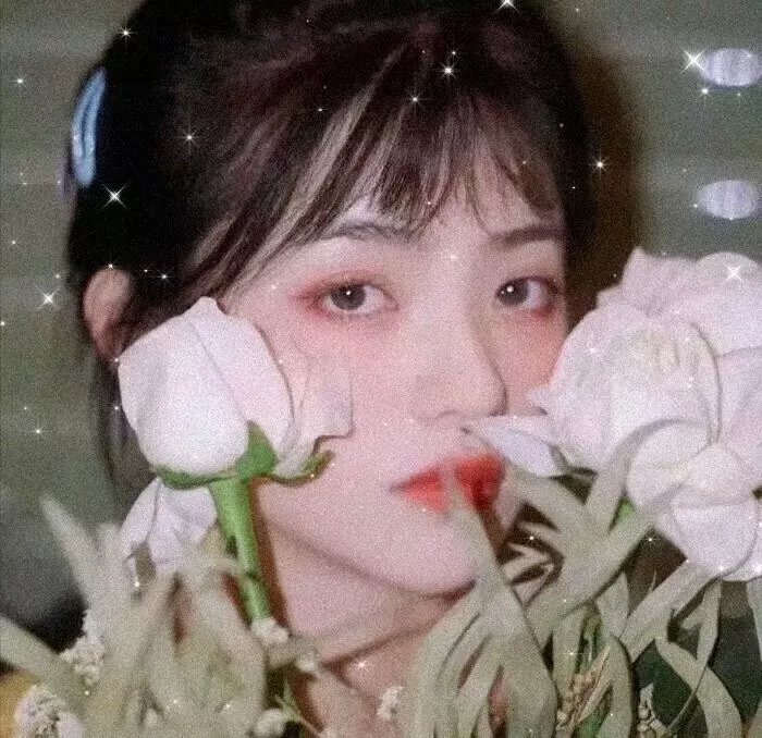 柳舟记
